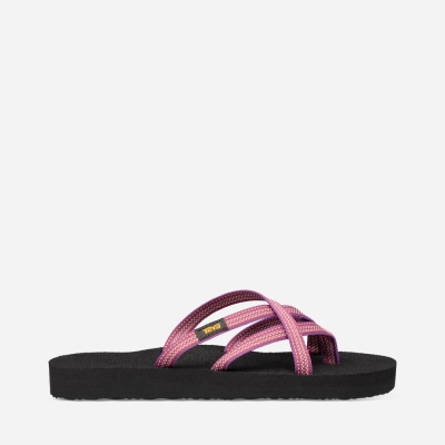 Teva Women's Olowahu Flip Flops Sale NZ (WCJQS-6297)